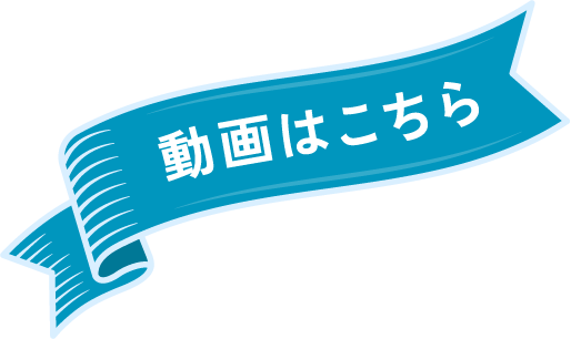 動画はこちら